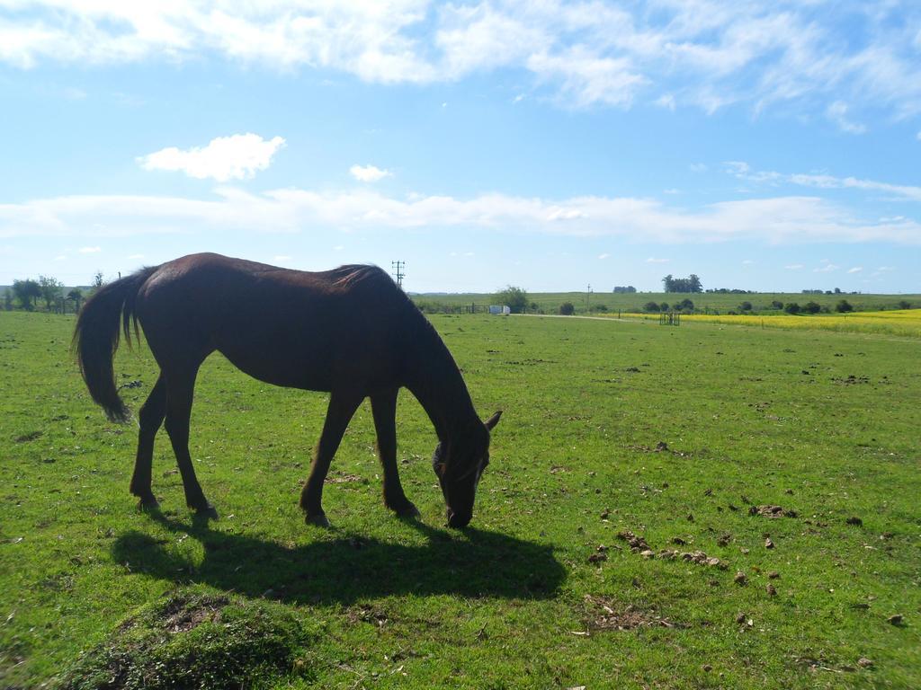 Estancia Hosteria El Ceibo Florida ภายนอก รูปภาพ