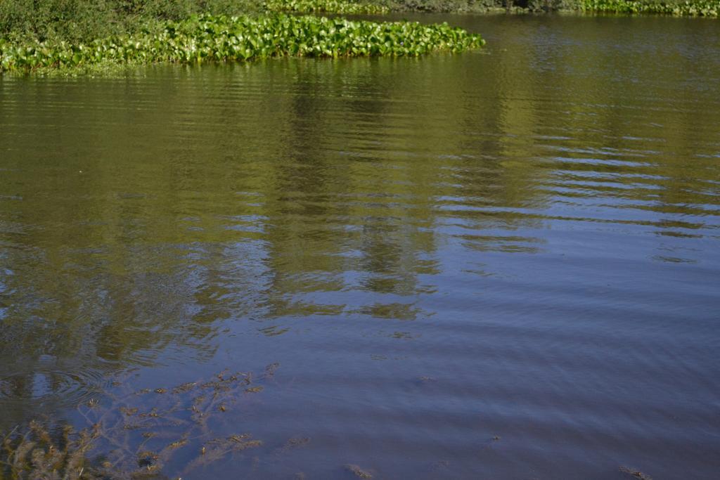 Estancia Hosteria El Ceibo Florida ภายนอก รูปภาพ