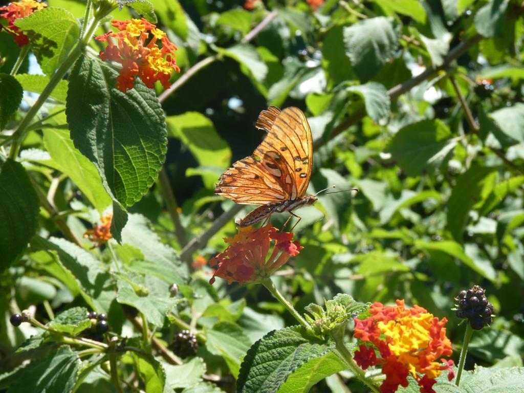 Estancia Hosteria El Ceibo Florida ภายนอก รูปภาพ